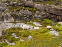Isle of Skye